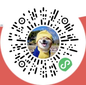 图片[1]-源支付_打造更专业的聚合免签支付系统