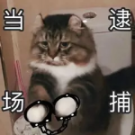 微风正暖，作者七天小栈-七天小栈