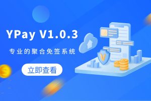 源支付_打造更专业的聚合免签支付系统